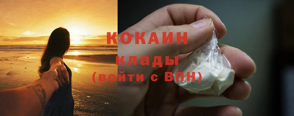 кокс Арсеньев