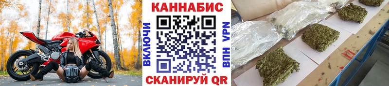 Шишки марихуана планчик  Малгобек 